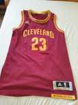 koszulka adidas Cleverland LeBron James