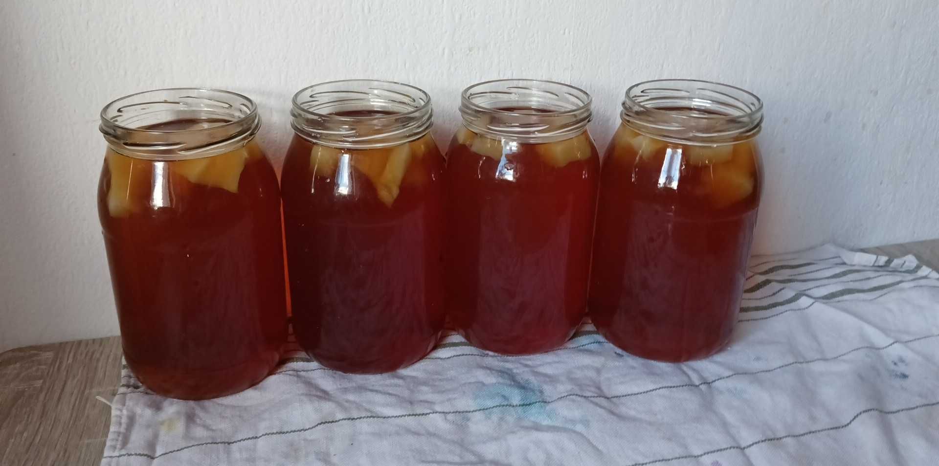 Kombucha starter grzyb herbaciany scoby