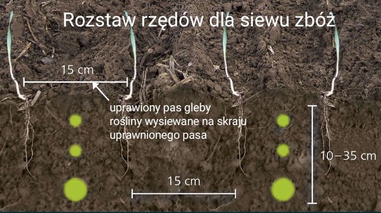 Strip Till Siew pasowy siew bezorkowy Horsch Focus