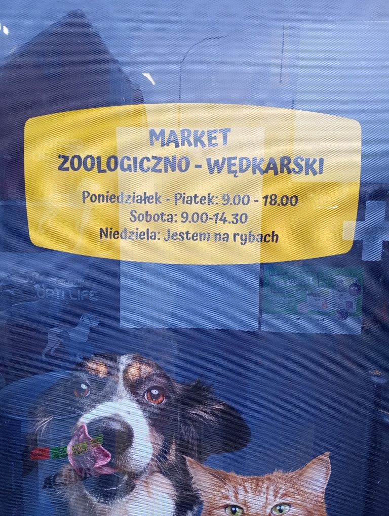 Karaś Koi -Ryby stawowe