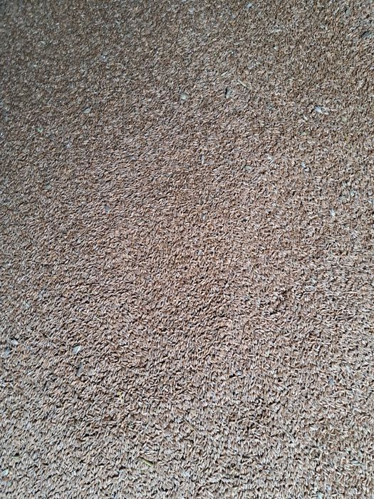 Pszenżyto, żyto,owies