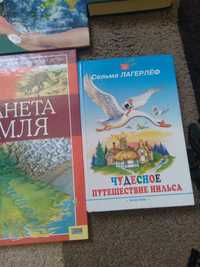 Продается чудесное путешествие Нильсона