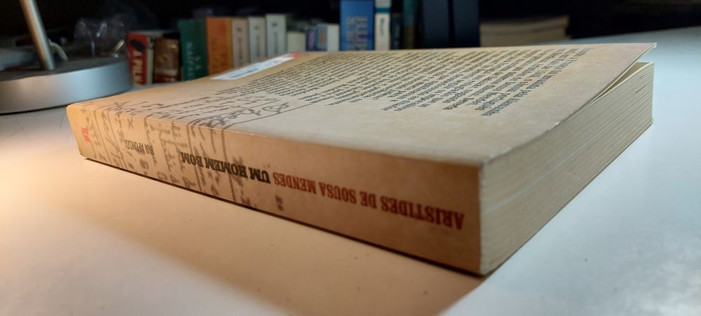 Um Homem Bom, Aristides de Sousa Mendes - Rui Afonso