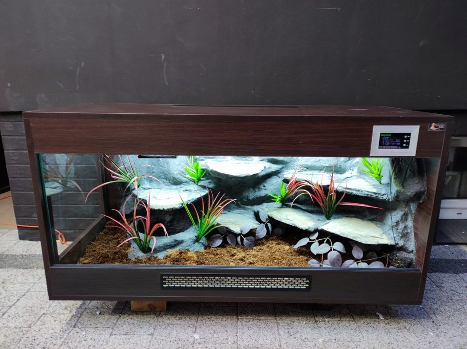 Terrarium 120x50x60 wąż pyton boa PETMARKET