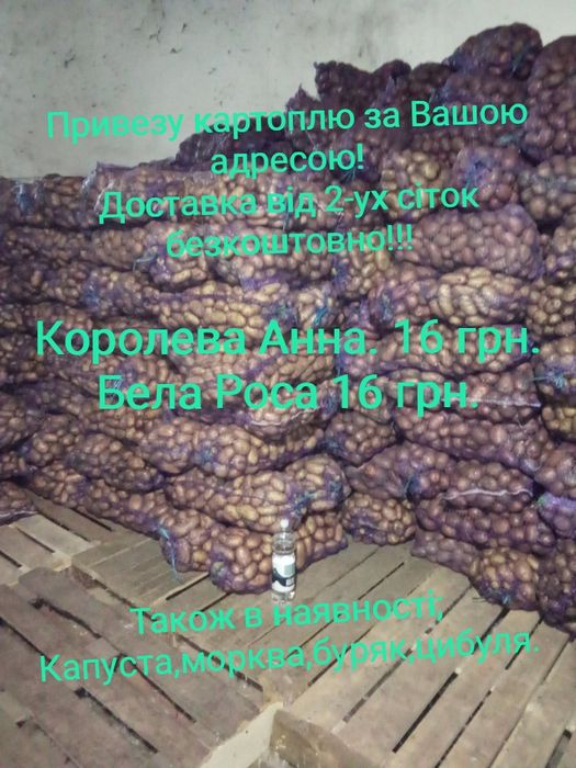Продам та привезу до Вас картоплю!