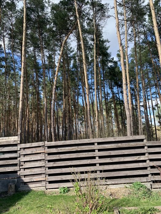 Продаж будинку в сосновому лісі | 120 м² на 8 сотках | Березенщина