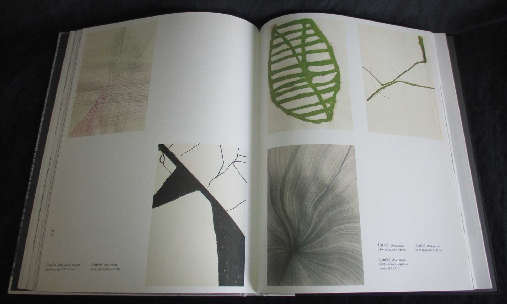 Livro Linie Line Linea Contemporary Drawing