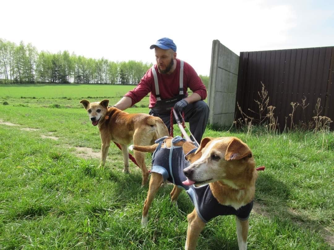 TYMEK uratowany z domu śmierci.Czy na koniec życia zazna miłości