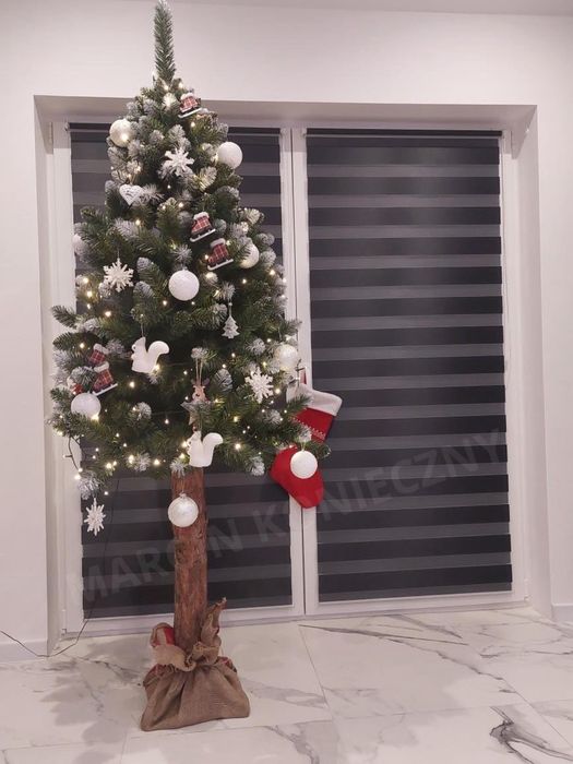 Choinka na pniu + GRATIS