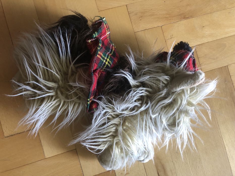 Maskotka piesek York, ze Szkocji