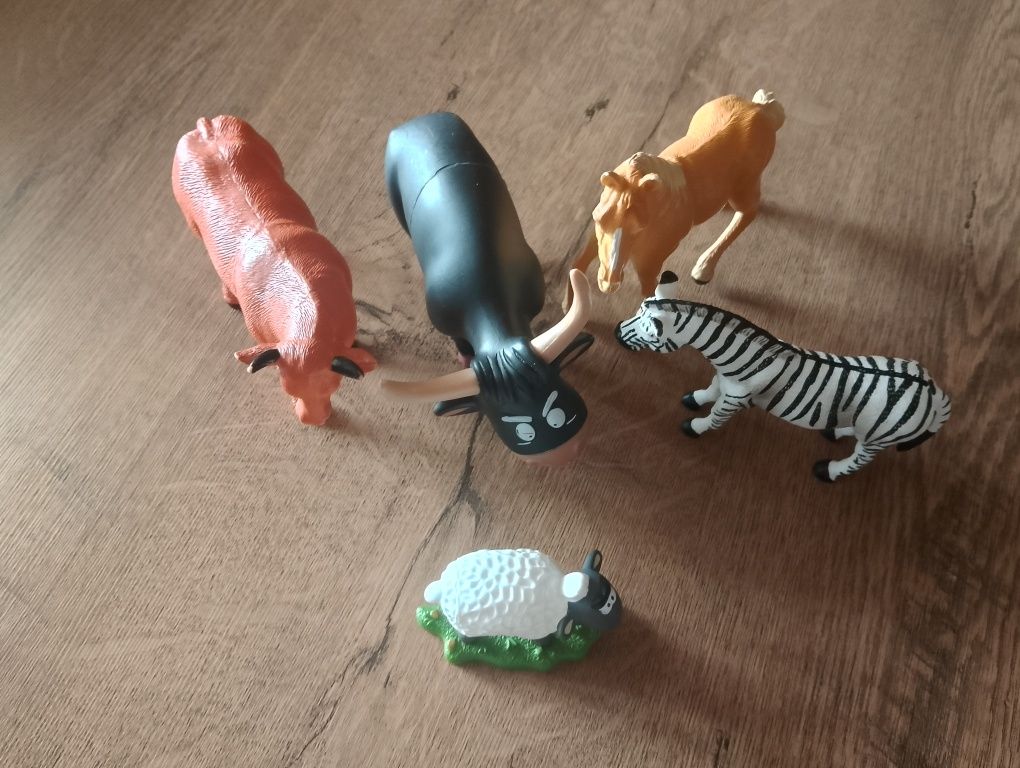 Zwierzęta wiejskie farma