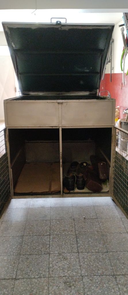 Rulote para transporte de cães