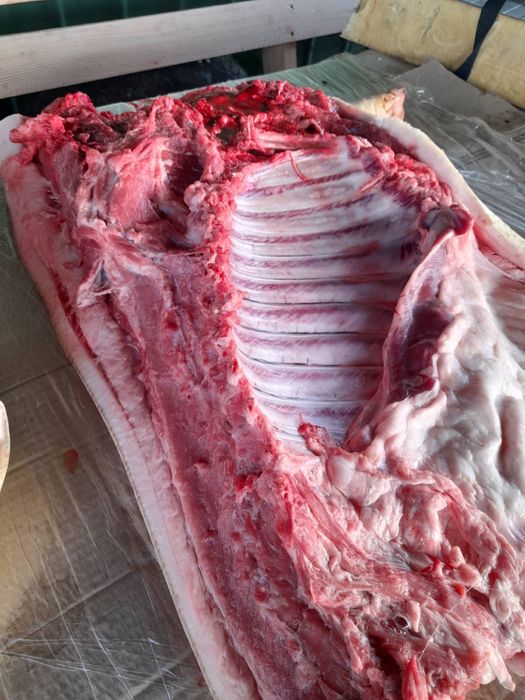 Терміново, продам свиней, поросят,бита вага.