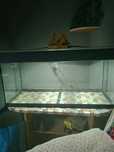 Sprzedam akwarium 200l