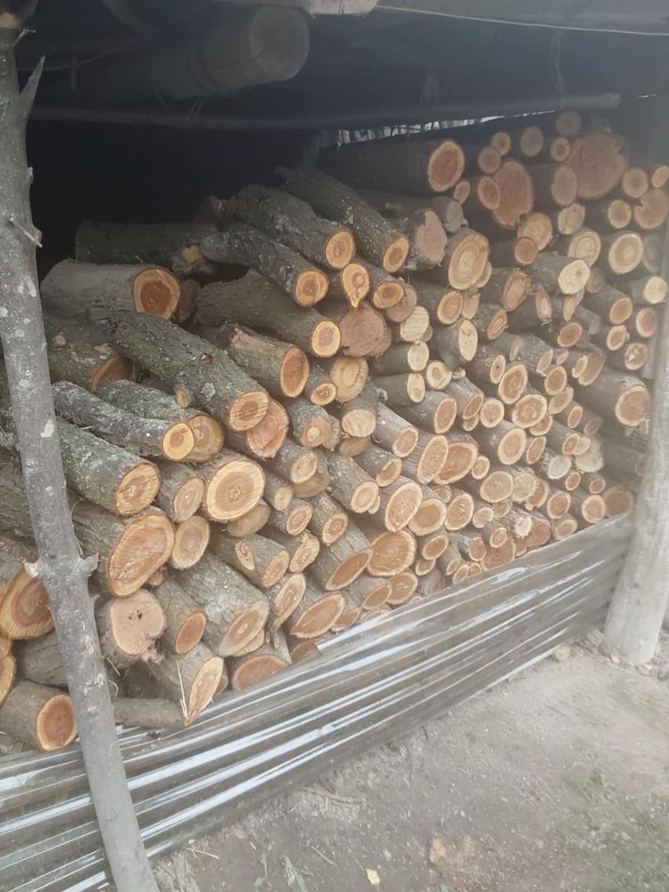 Drzewo do wędzarni/ do kominka (śliwa)