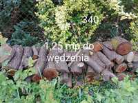 Jabłoń drewno do wedzenia