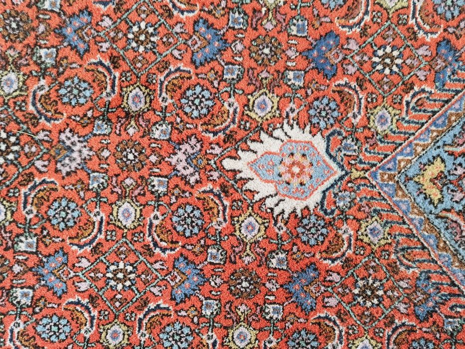 Piękny gabinetowy ręcznie tkany wełniany dywan Bidjar 250x375cm nr1483