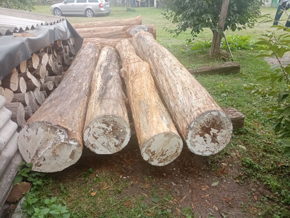 Продам кругляк дуба