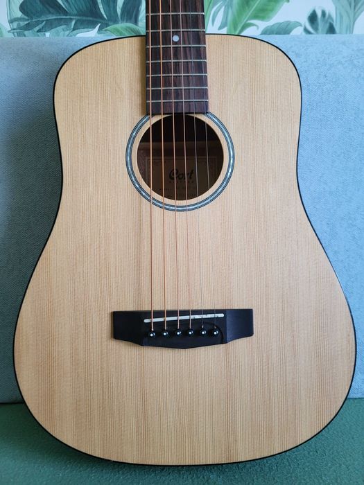 Cort ad810  wersja mini  3/4 OP świerk mohoń