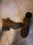 Buty trapery panterka tanio