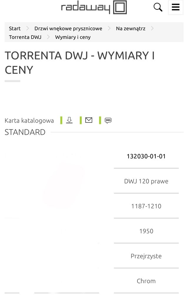 Drzwi prysznicowe Radaway Torrenta 120 prawe