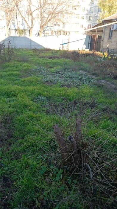 Домоволодіння з великим потенціалом