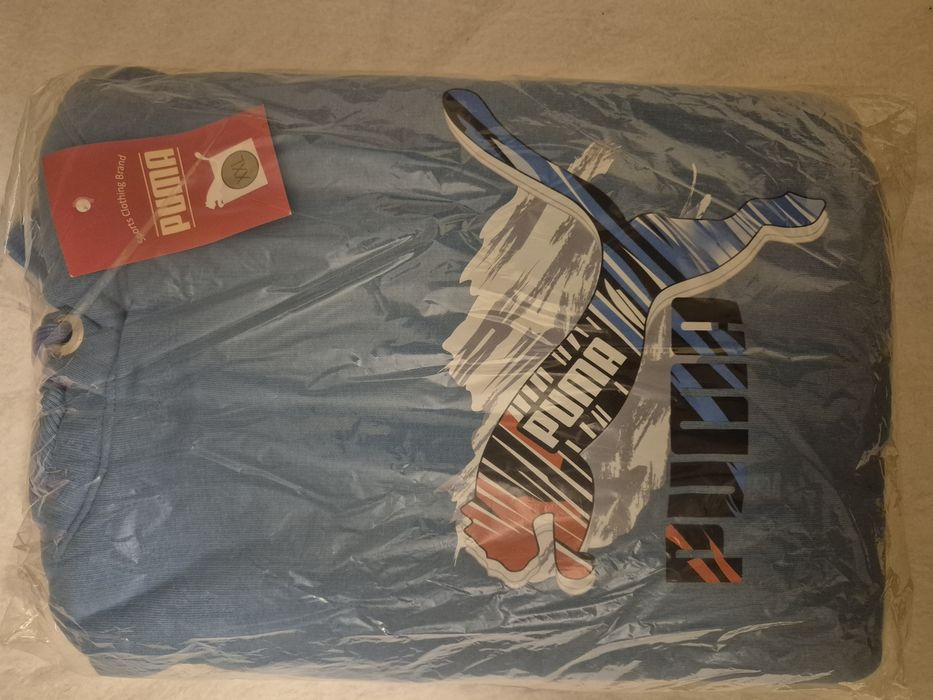 Bluzy męskie z kapturem