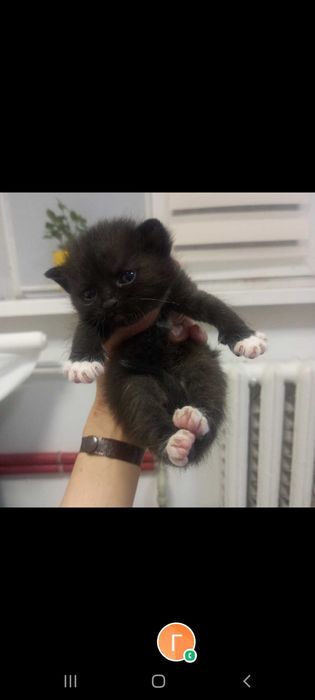 Безкоштовно!  Корзина  щастя!