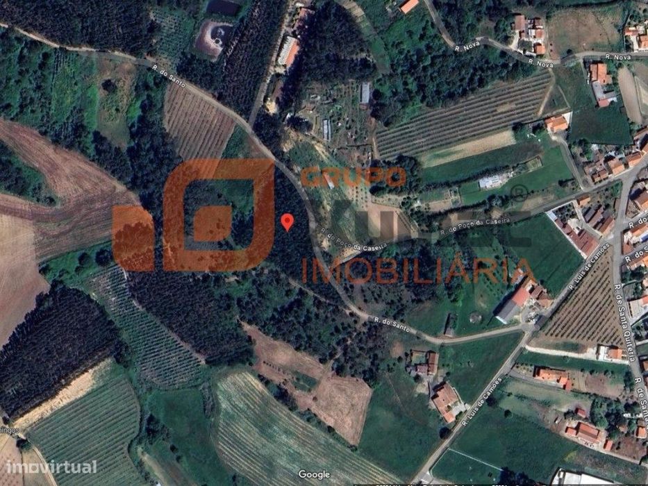 Terreno com Eucaliptal bom para corte, para venda!!