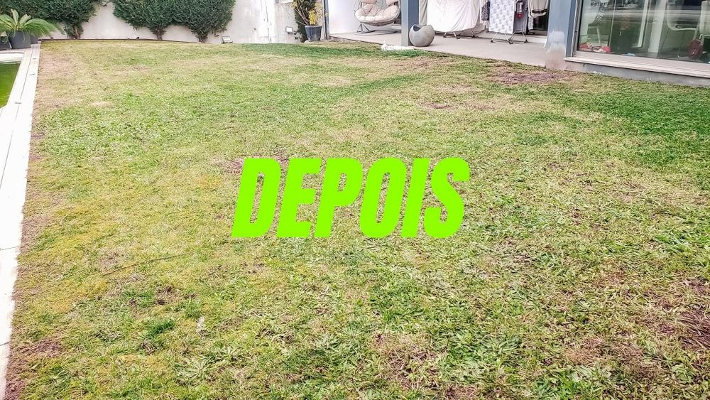 Empresa de jardinagem