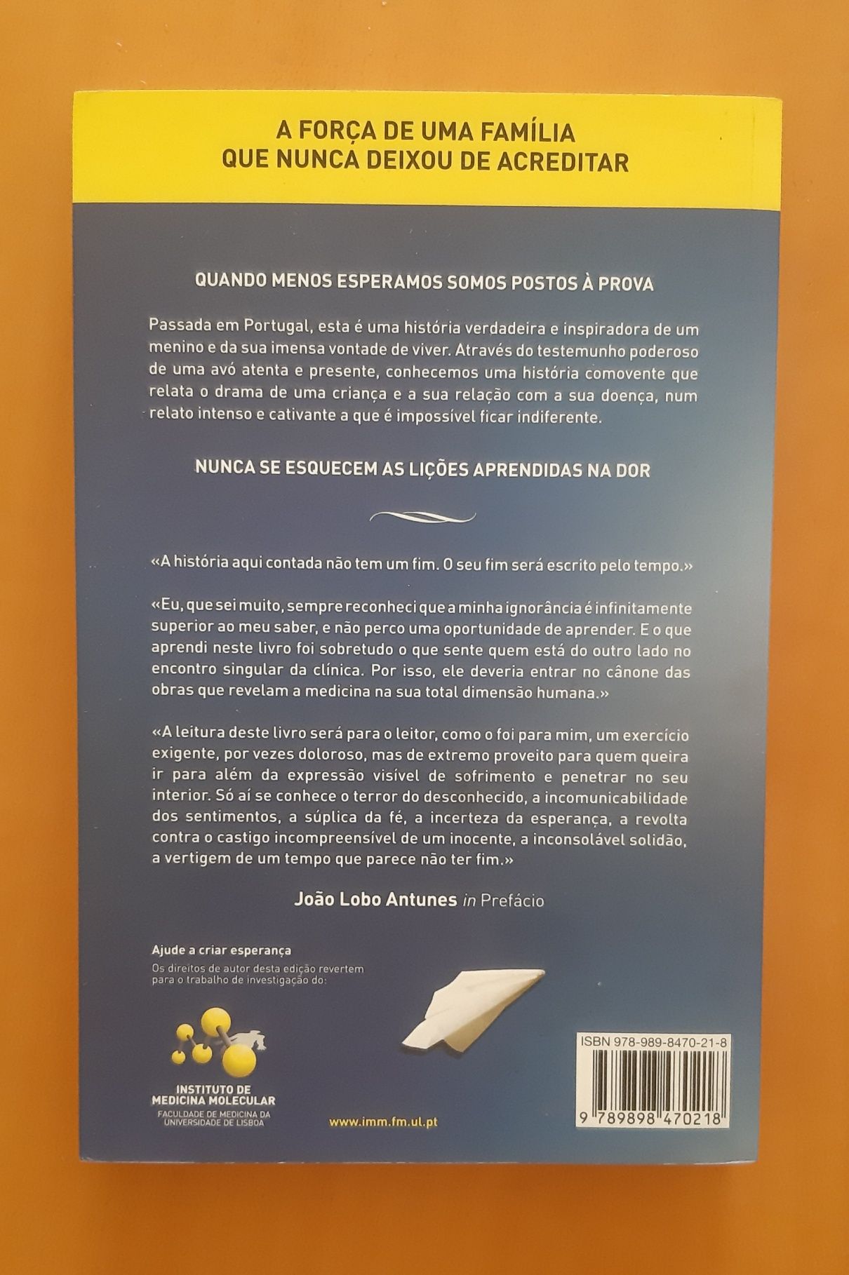 Livro - O céu pode esperar