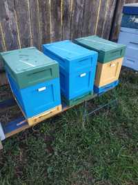 Pszczoły rodziny pszczele ramka wielkopolska