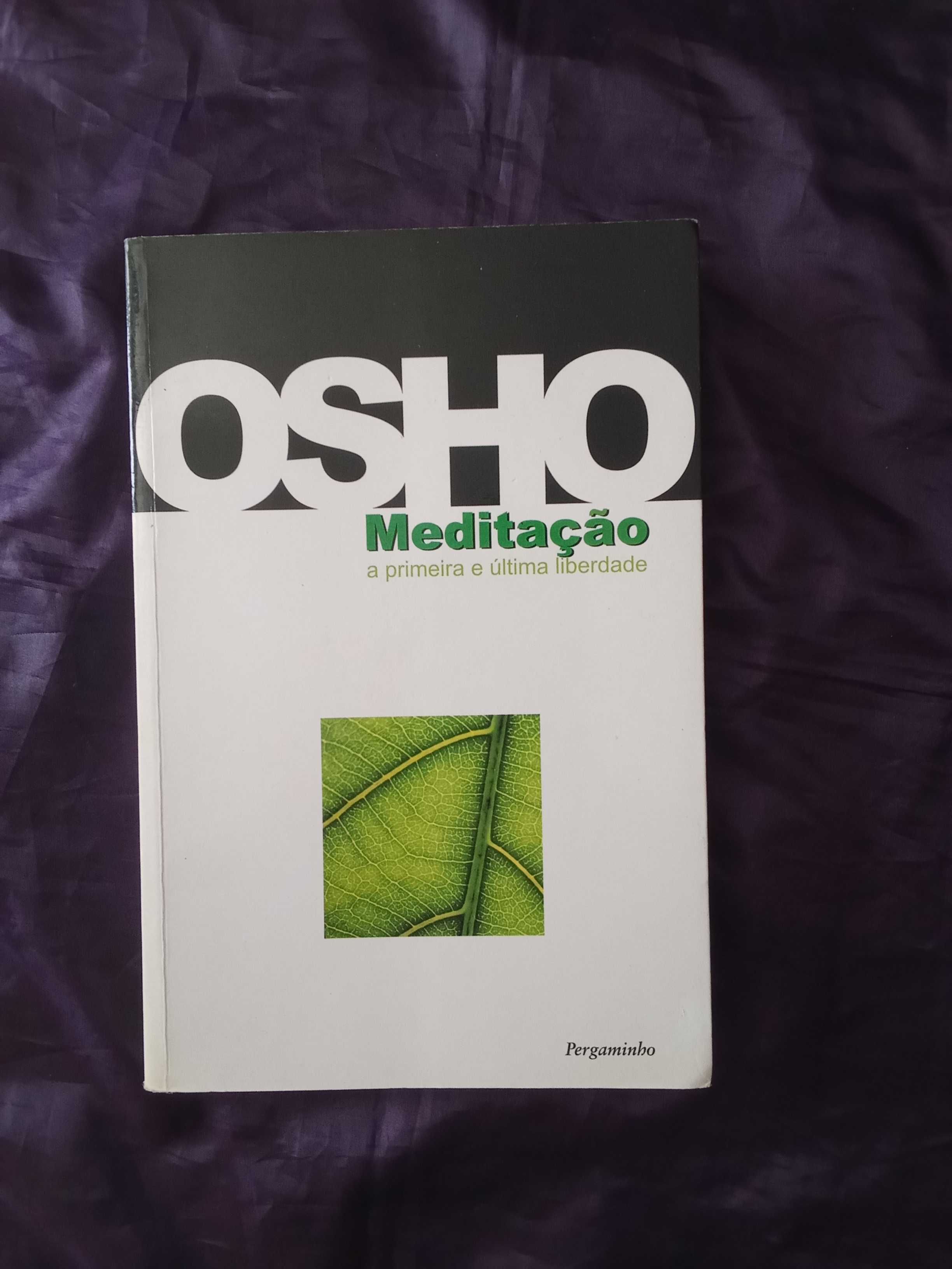 Meditação: A Primeira e Última Liberdade - Osho