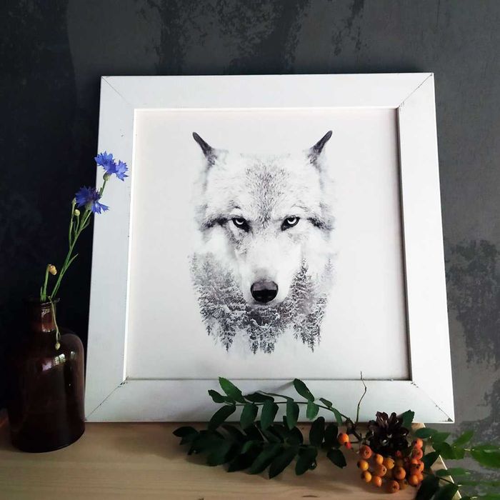 Obraz plakat biały wilk w białej drewnianej ramie