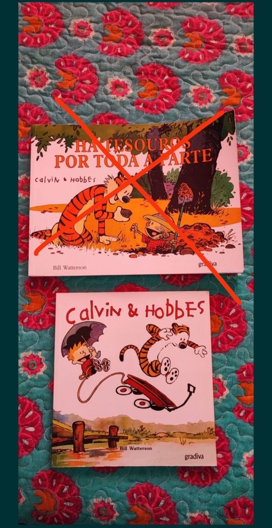 Livro BD - Calvin & Hobbes