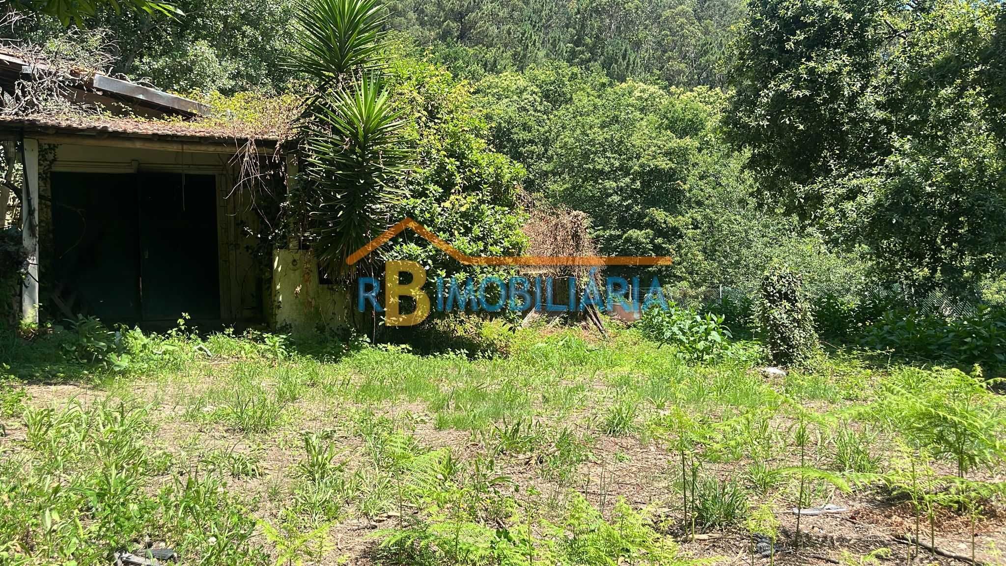 Quinta dos Guardais - Arouca