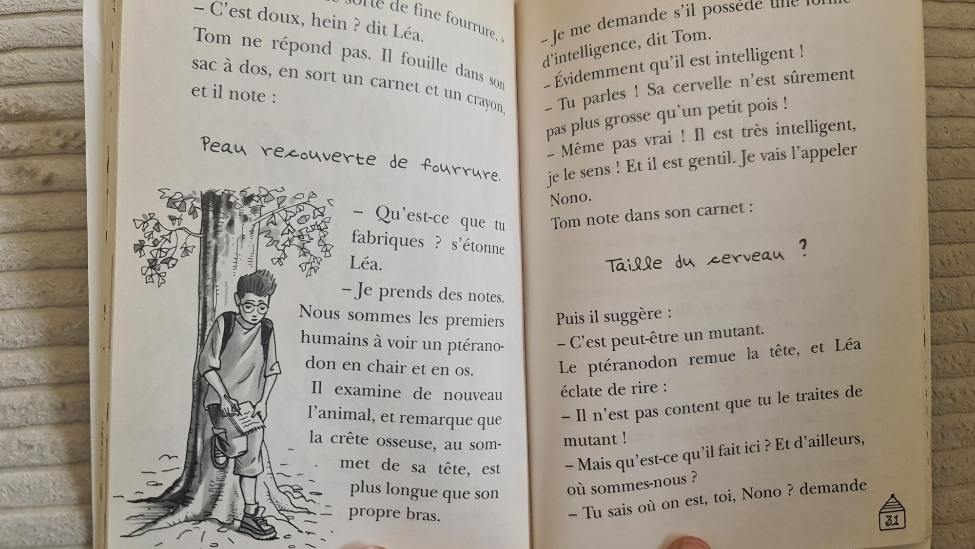 La cabane magique livre français po francusku la vallée des dinosaures