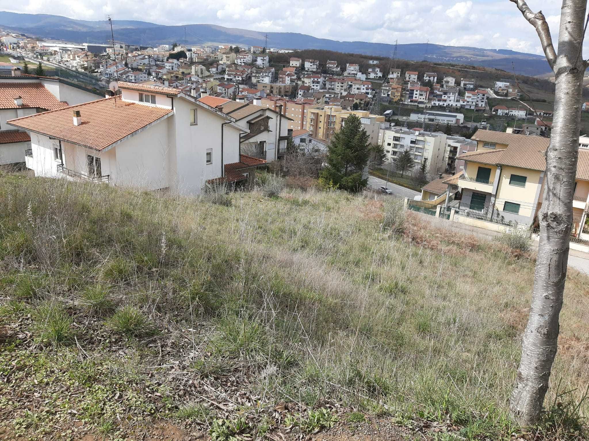 Terreno em Bragança (Artur Mirandela)