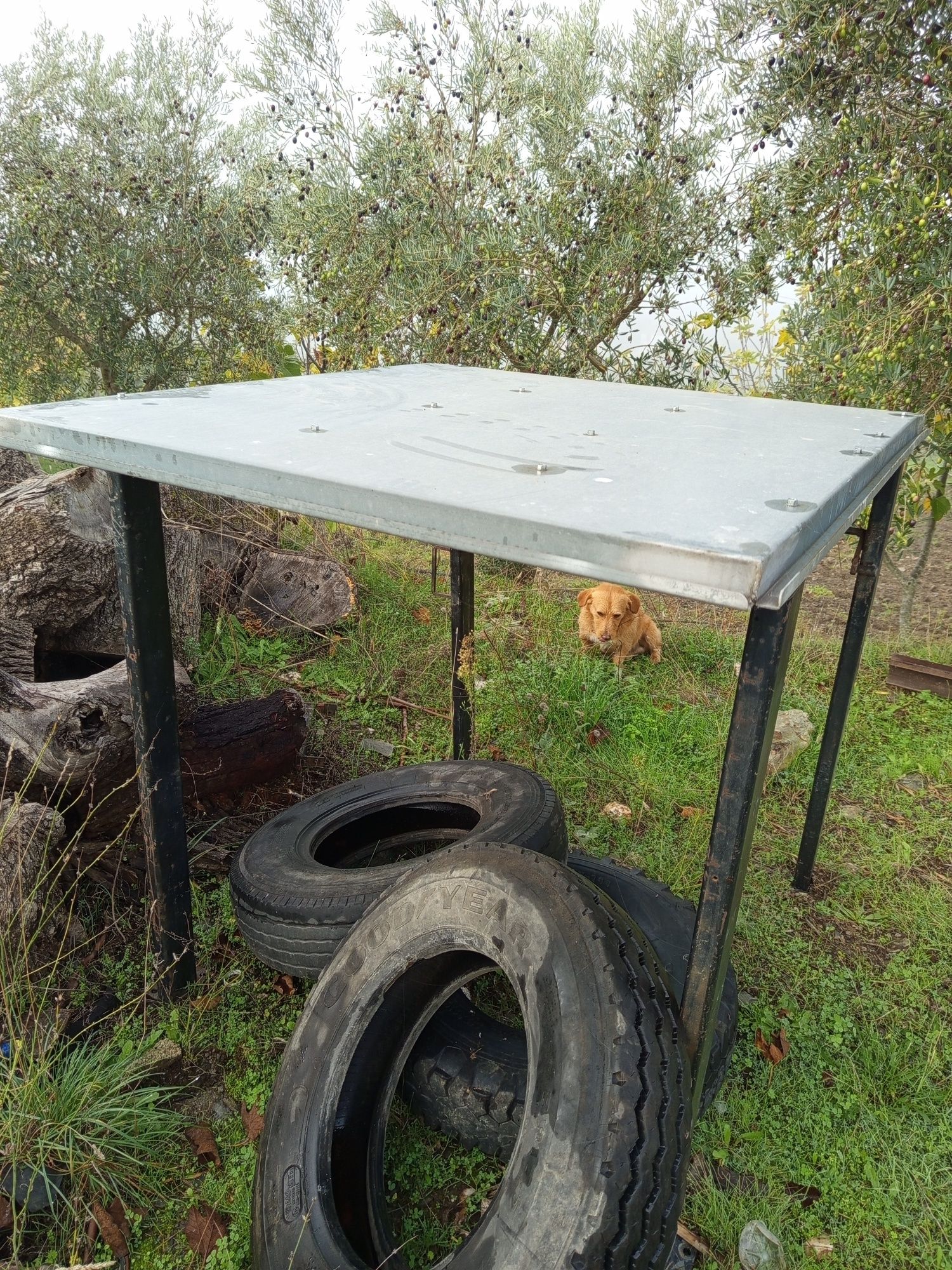 Cabine de tractor de rastos