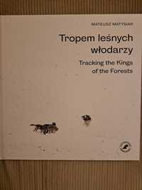 album Tropem leśnych włodarzy Mateusz Matysiak, zbiórka