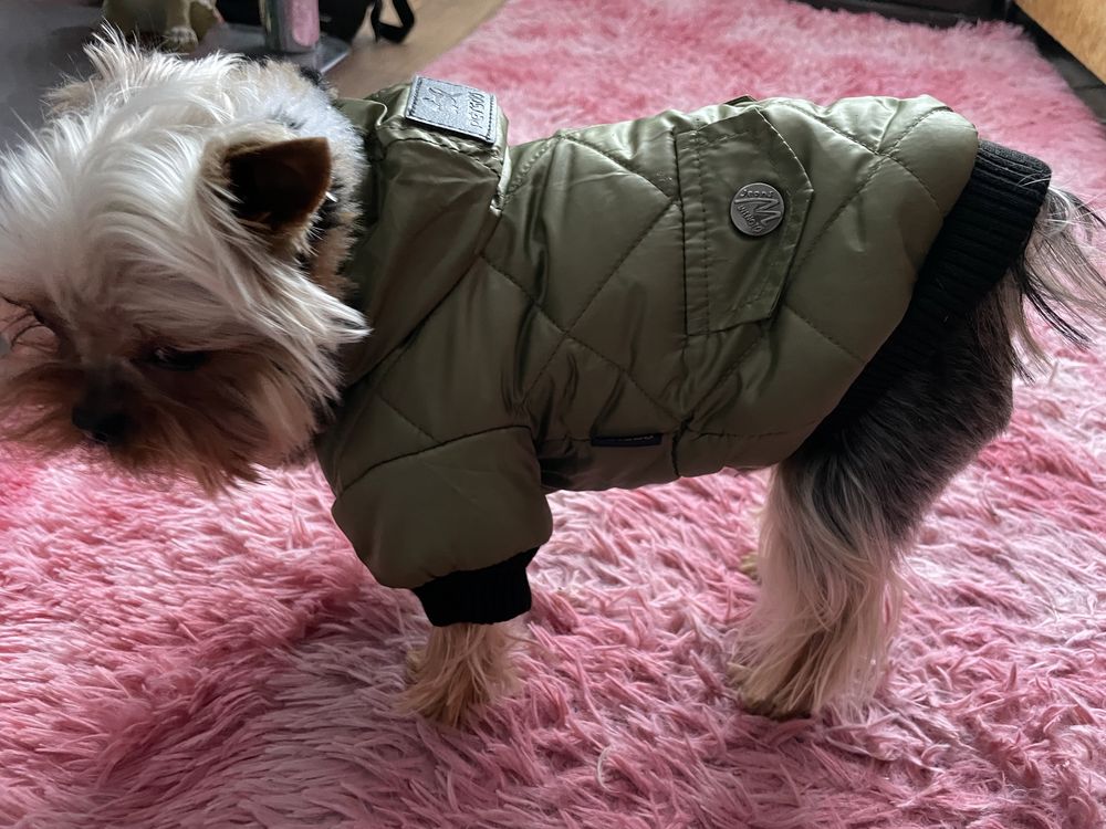 Курточка для собаки
