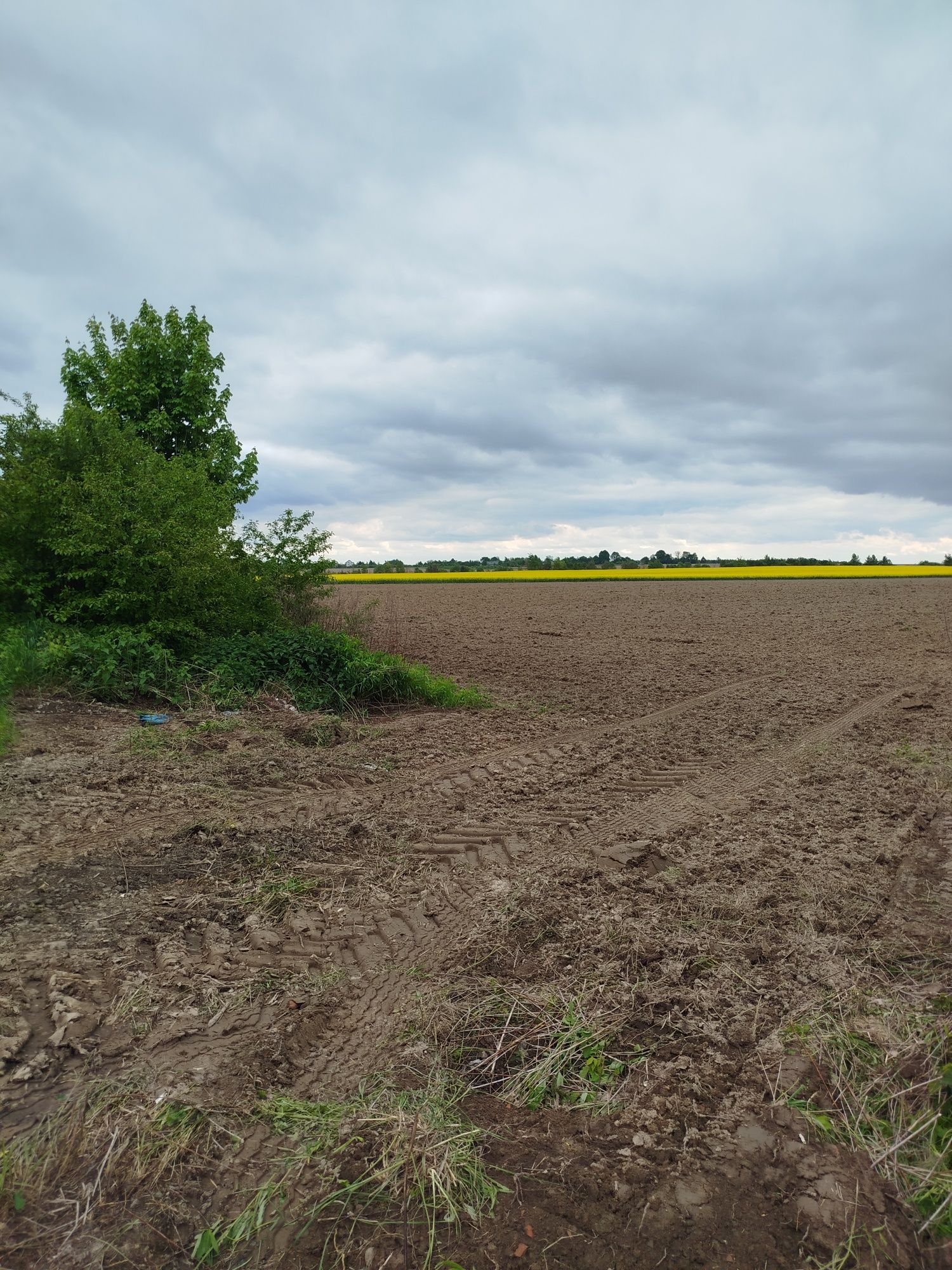 Продаж ділянки Бартатів ,комерція Городоцького р-н 2-га