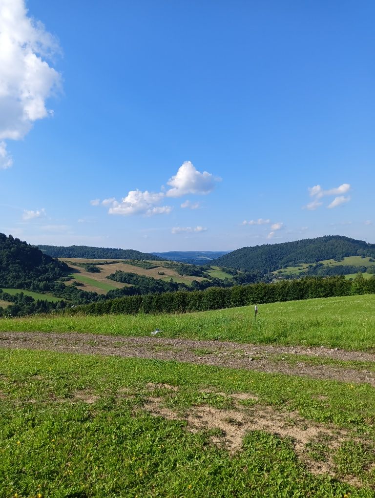 Bieszczady domek noclegi