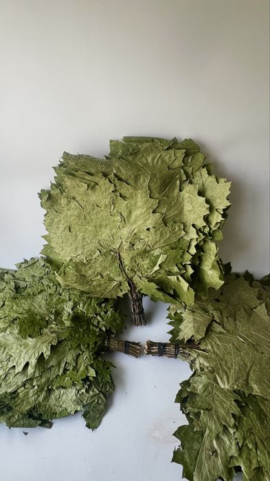 Witki do Sauny, Witkowanie w Saunie, Wenik Bania,