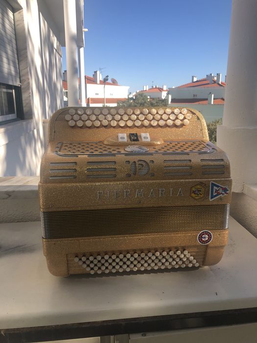 Acordeão Piermaria com registos à 2 voz + mala e correias