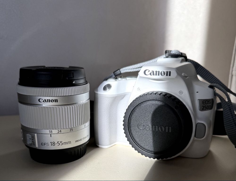 Canon EOS 250D +EF-S 18-55mm f/4-5.6 IS STM +EF 50mm f/1.8 STM