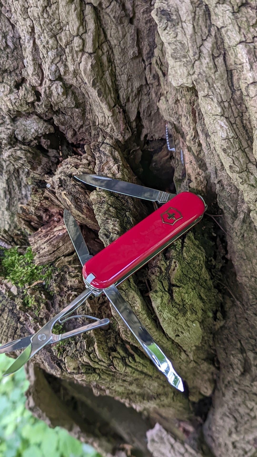 Victorinox Executive