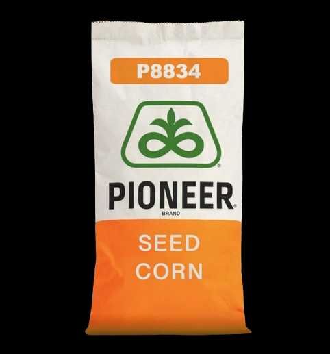 Kukurydza Pioneer P8834