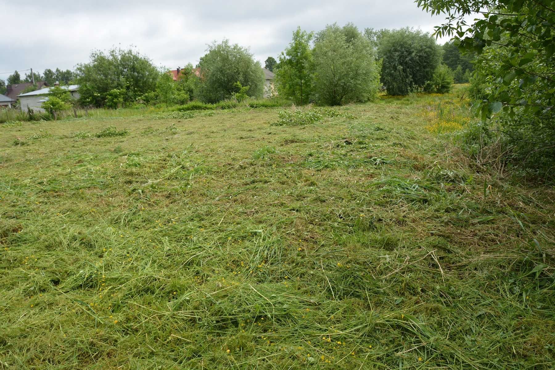 DZIAŁKA INWESTYCYJNA CISÓWKA, blisko Sulejówek i Warszawa 35958 m2