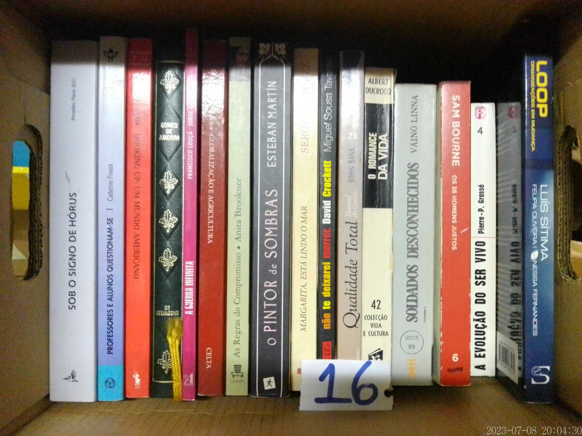 LOTE 16 - LIVROS Diversos - VENDIDOS em SEPARADO - Preços Vários